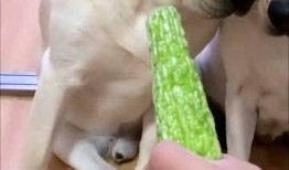 老四在线吃瓜视频网站免费观看,免费畅享热门视频，轻松解锁娱乐新天地